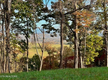 0 Somerset Estates | Homesite 3, Lenoir City, TN 37771